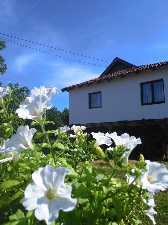 Guest House Antonela 스몰리야나크 객실 사진